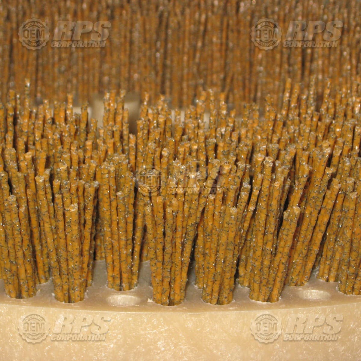 11-421SS - Brush,Super-Grit,11"